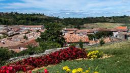 La montagne en été : Une destination incontournable pour des vacances ressourçantes